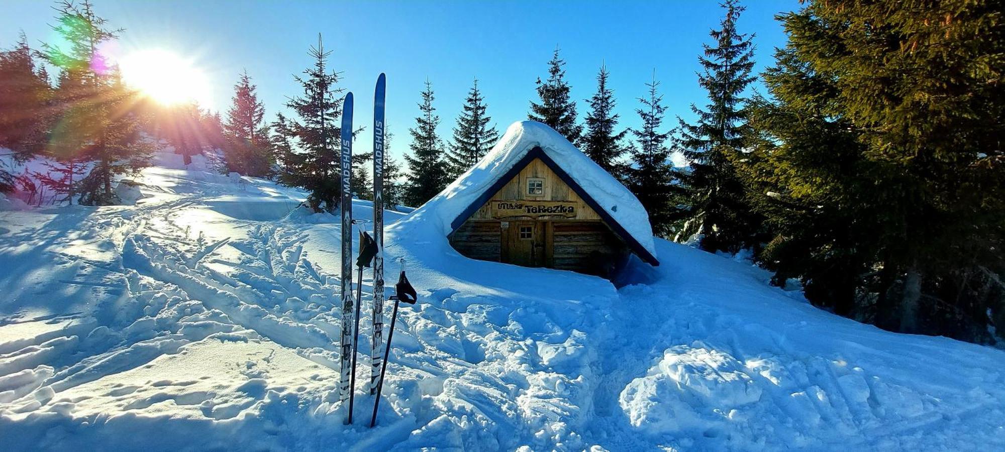 Tiny House Olivia Apartment Liptovsky Hradok Exterior photo